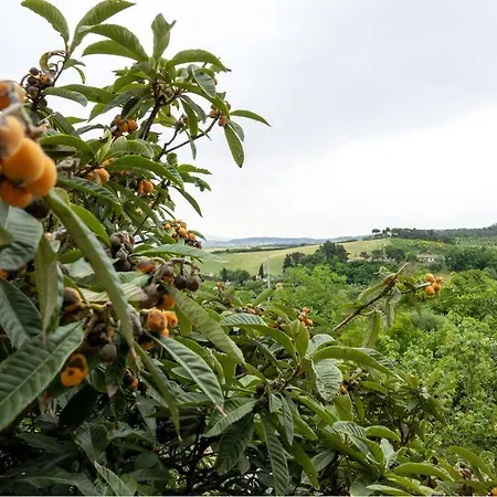 Toscana&mare Cav La Lodola Holiday home